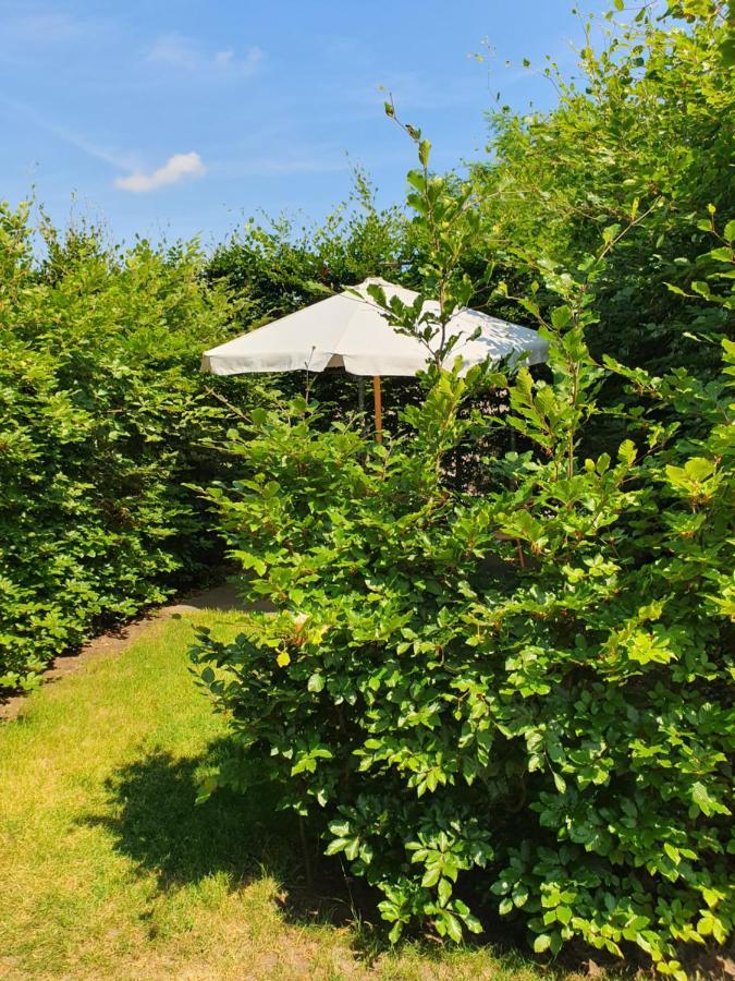Sleep at Hamtingh´s Bed and Breakfast Hilvarenbeek Eksteriør billede